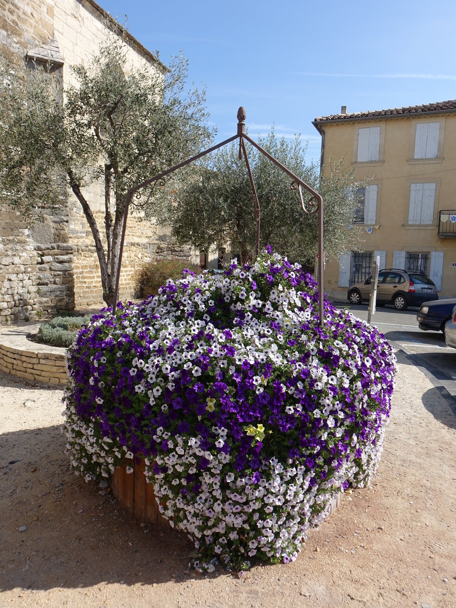 Valreas, Blumenschmuck am Place Pie vor der Notre Dame Kirche (22.09.2017)