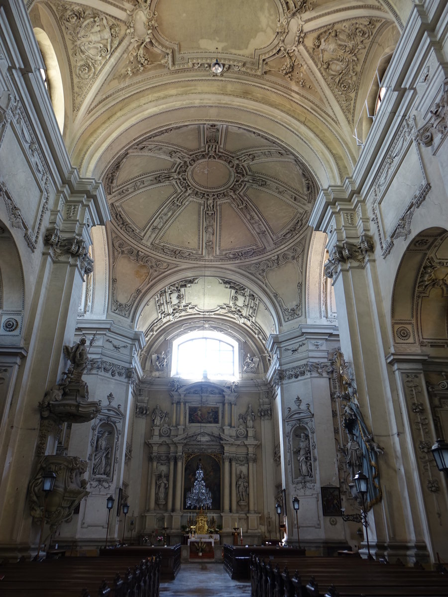 Valtice, barocker Innenraum in der Maria Himmelfahrt Kirche (31.05.2019)