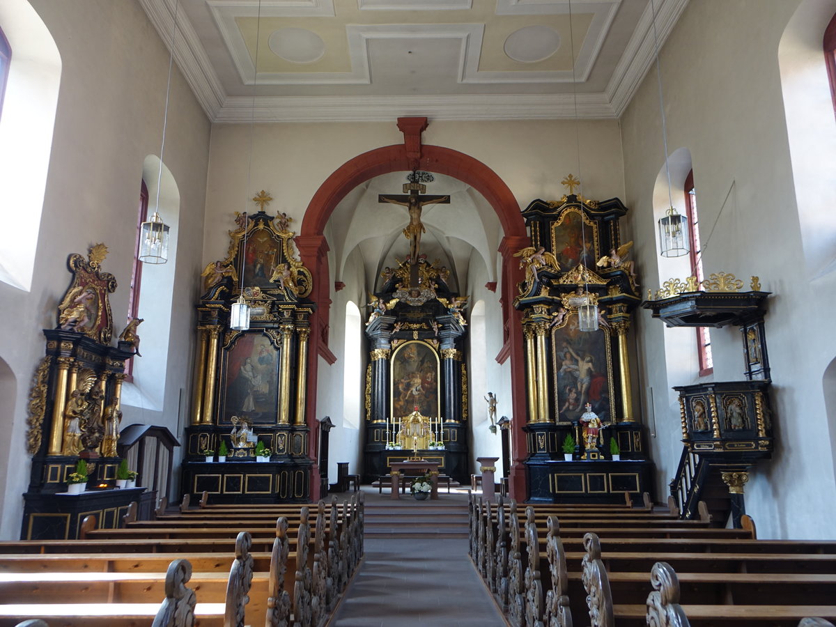 Veitshchheim, barocke Altre und Kanzel in der Pfarrkirche St. Vitus (15.08.2017)