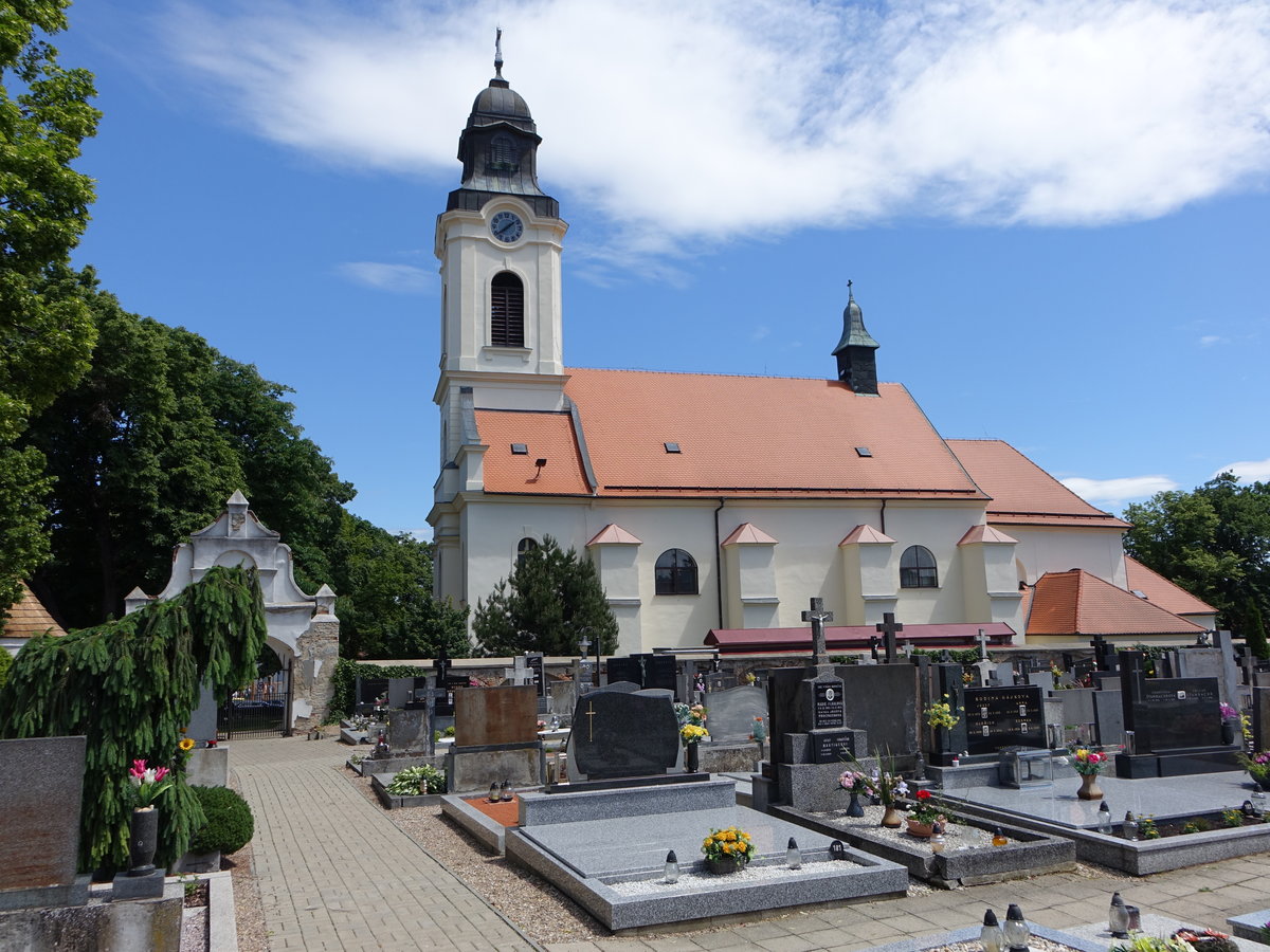 Velk Pavlovice/ Gro Pawlowitz, barocke Pfarrkirche Maria Himmelfahrt, erbaut von 1670 bis 1680 (31.05.2019)