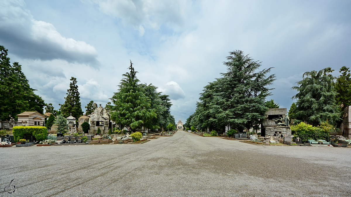 Viele kleine und groe Grber auf dem Zentralfriedhof von Mailand. (Juni 2022)