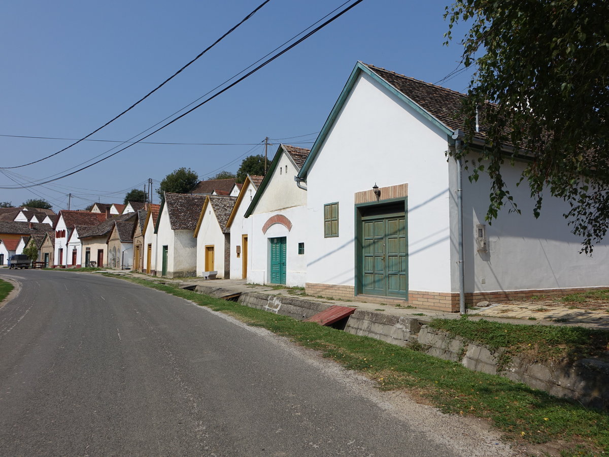 Villanykvesd, malerische doppelstckige Kellerzeile (31.08.2018)