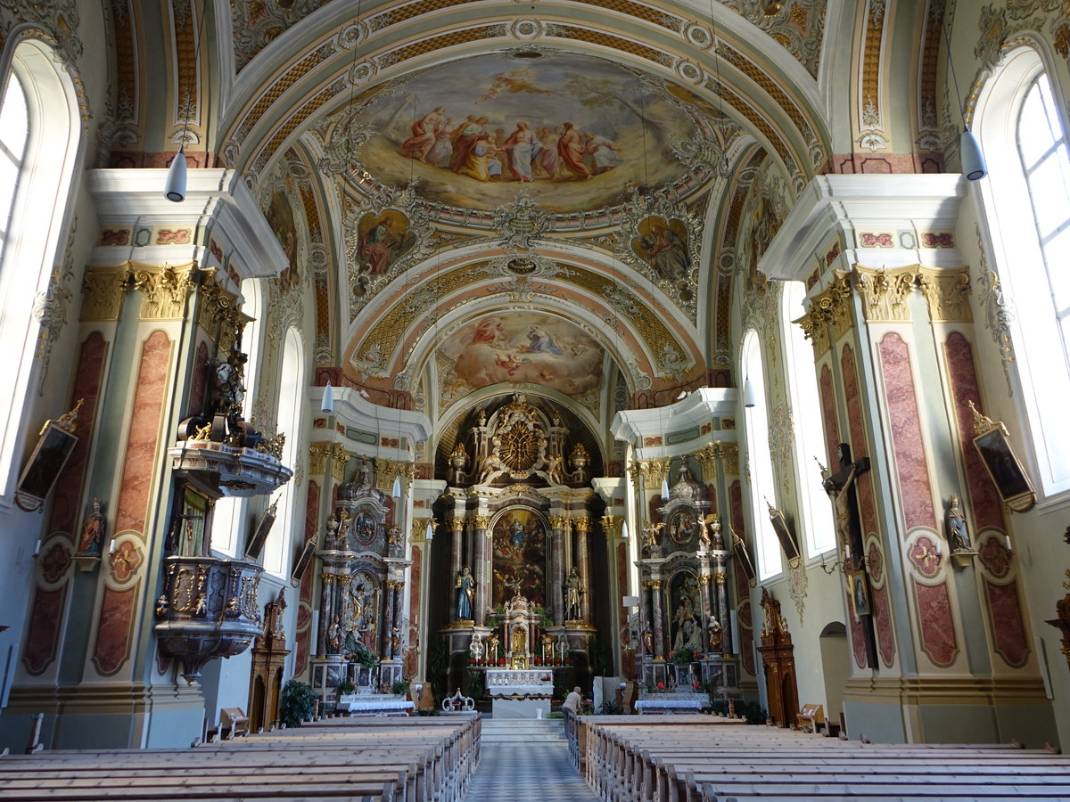 Villn, sptbarocker Innenraum der Pfarrkirche St. Peter und Paul, Deckenfresken von Joseph Schpf (14.09.2019)