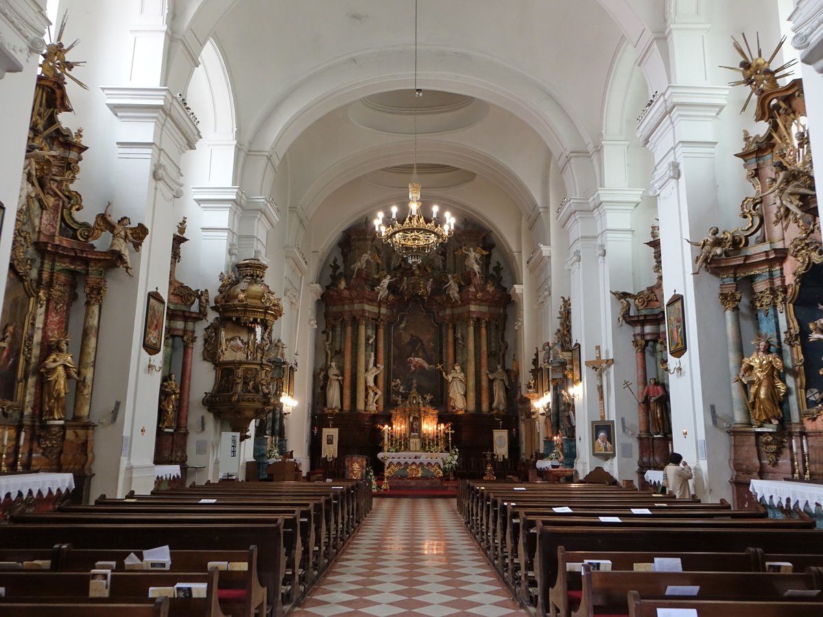 virovitica, barocker Innenraum der Franziskaner Kirche St. Rocco (03.05.2017)