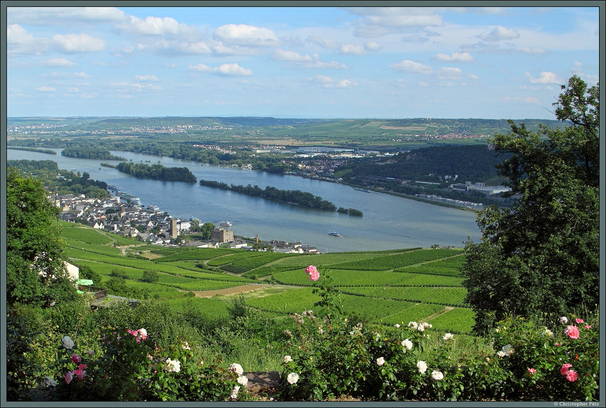 Vom Tempel nahe dem <a href= http://www.staedte-fotos.de/bild/Deutschland~Hessen~Rudesheim/50231/das-1883-eingeweihte-niedernwalddenkmal-auf-dem.html >Niederwalddenkmal</a> bietet sich ein schöner Blick auf Rüdesheim und das Rheintal. Das Gebiet gilt als eine der besten Weinlagen Deutschlands, hier wird vor allem Riesling angebaut. In Rüdesheim (links des Rheins) stechen vor allem der Turm der <a href= http://www.staedte-fotos.de/bild/Deutschland~Hessen~Rudesheim/50254/von-der-im-12-jahrhundert-errichteten.html >Boosenburg</a> und die direkt daneben befindliche Brömserburg hervor. Auf der anderen Rheinseite in der Mitte der Ort Kempten sowie links im Hintergrund Ingelheim. (09.08.2014)