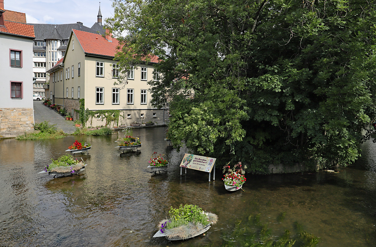 Vor der Schlsserbrcke ber den Breitstrom der Gera in der Landeshauptstadt Thringens sind immer ein paar kleine Hingucker zu sehen, am 02.08.2021 waren diese natrlich der BUGA gewidmet, die in diesem Jahr in Erfurt stattfindet. 