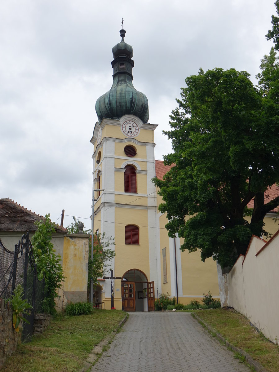 Vranov nad Dyj, Pfarrkirche Maria Himmelfahrt, erbaut bis 1716 (29.05.2019)