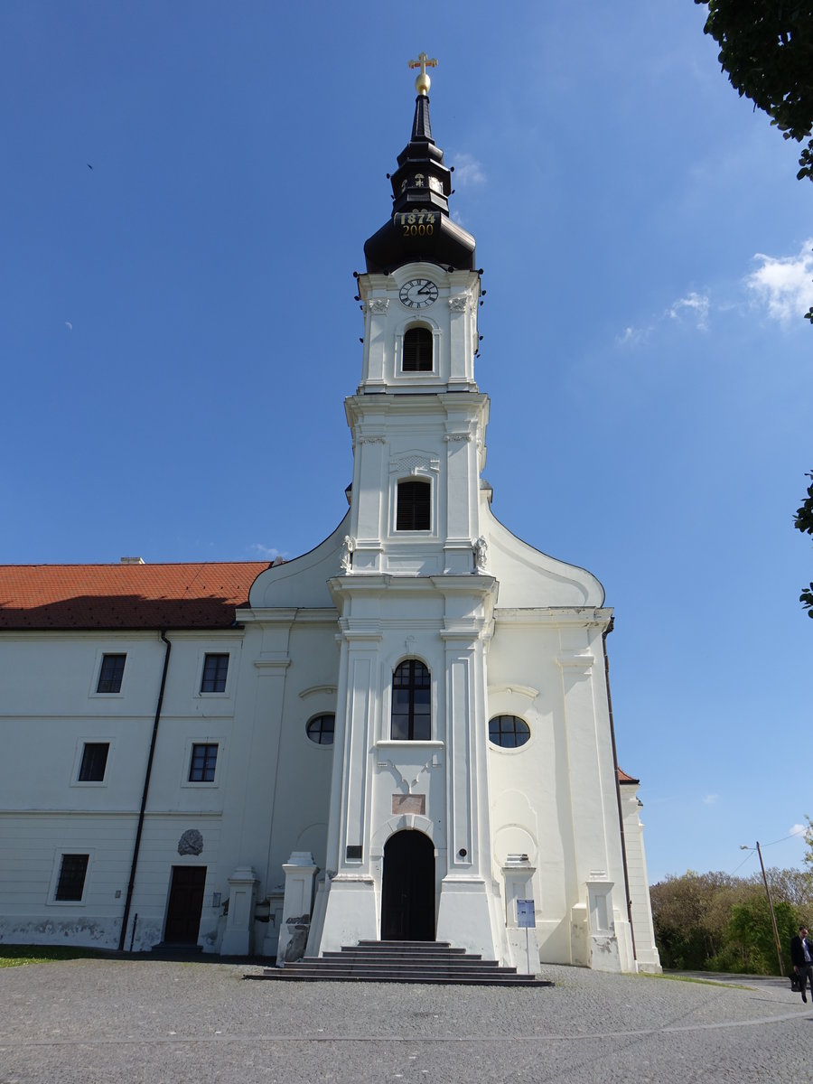 Vukovar, Franziskanerkirche, erbaut ab 1723 durch den Bischof von Pecs Nesselrod (02.05.2017)