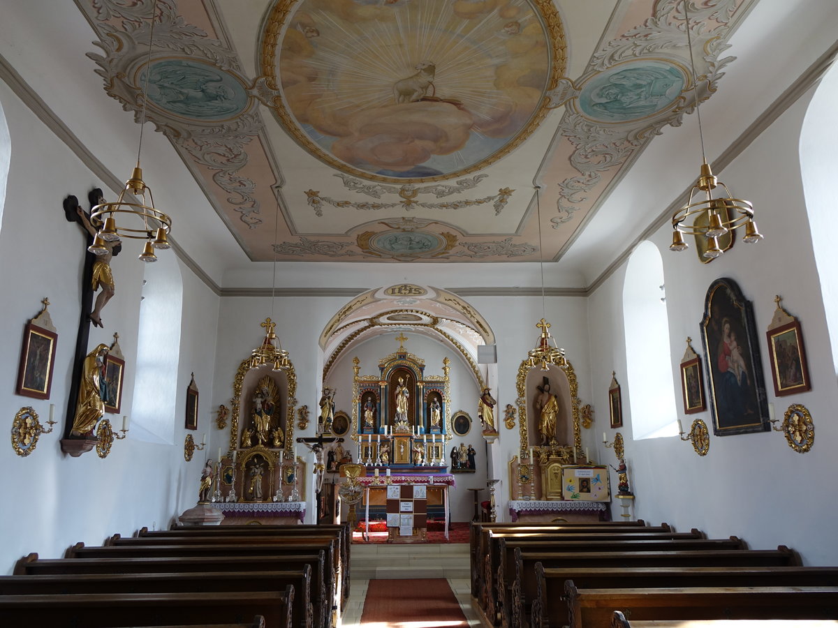 Wagenhofen, Innenraum der St. Martin Kirche (06.03.2016)