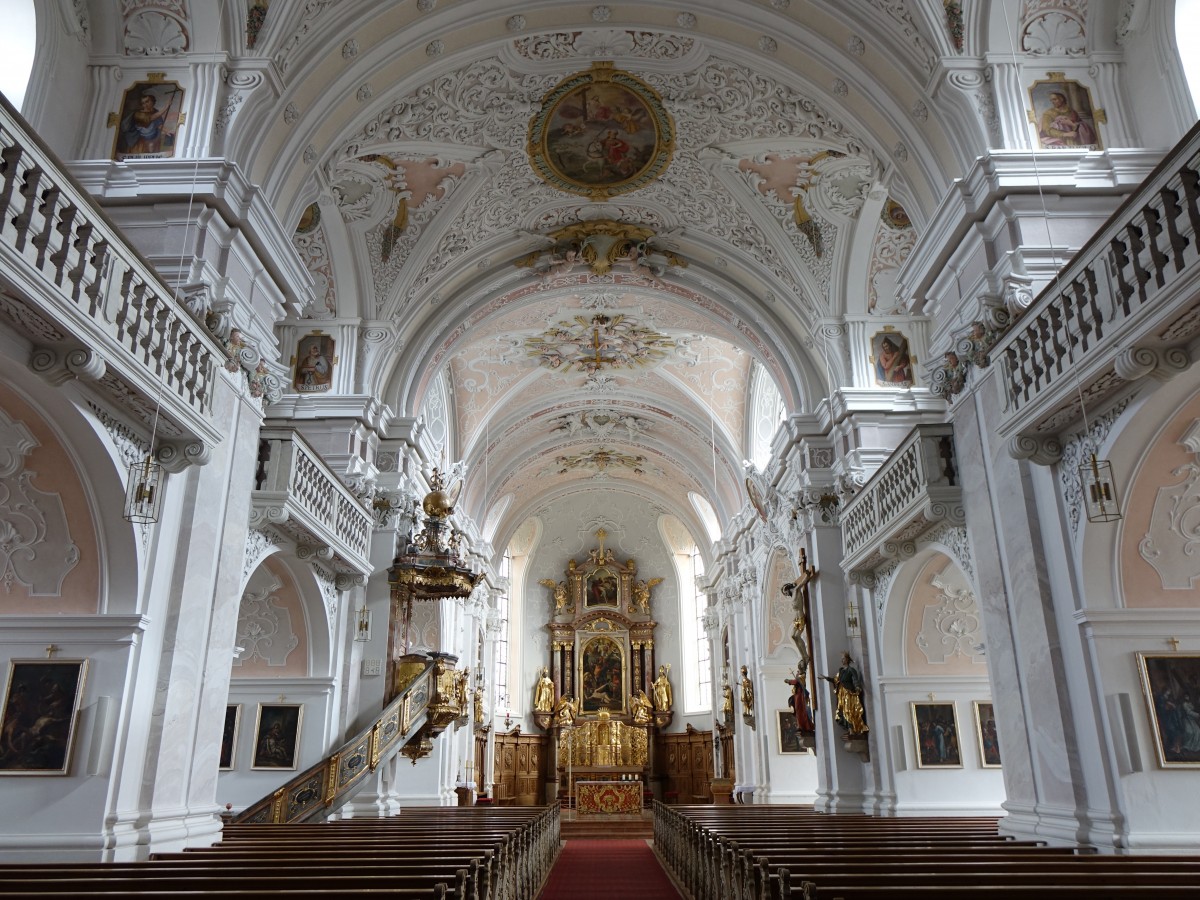 Waging am See, Innenraum der St. Martin Kirche (15.02.2016)