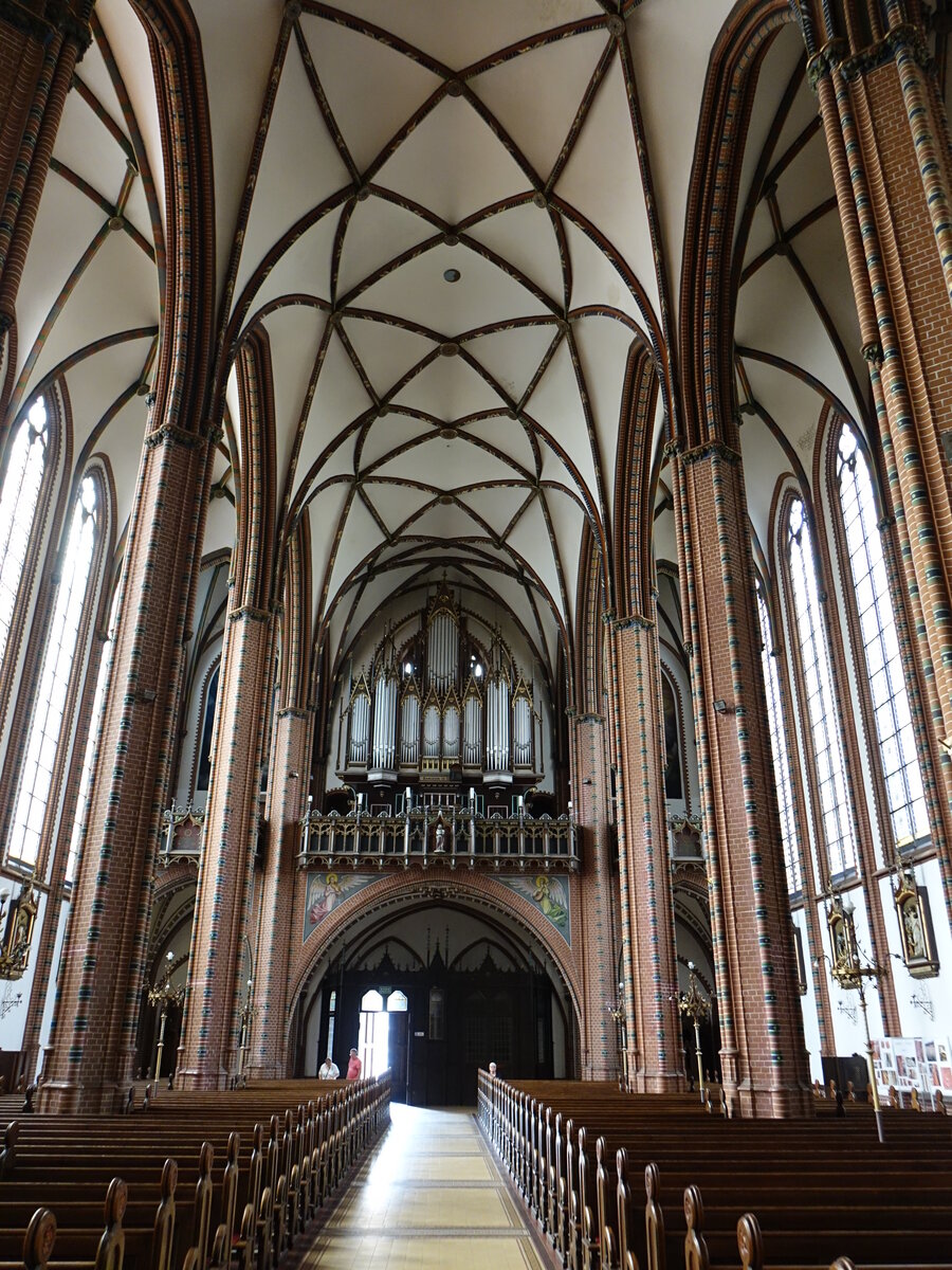 Walbrzych / Waldenburg, Orgelempore in der Schutzengel Kirche (11.09.2021)