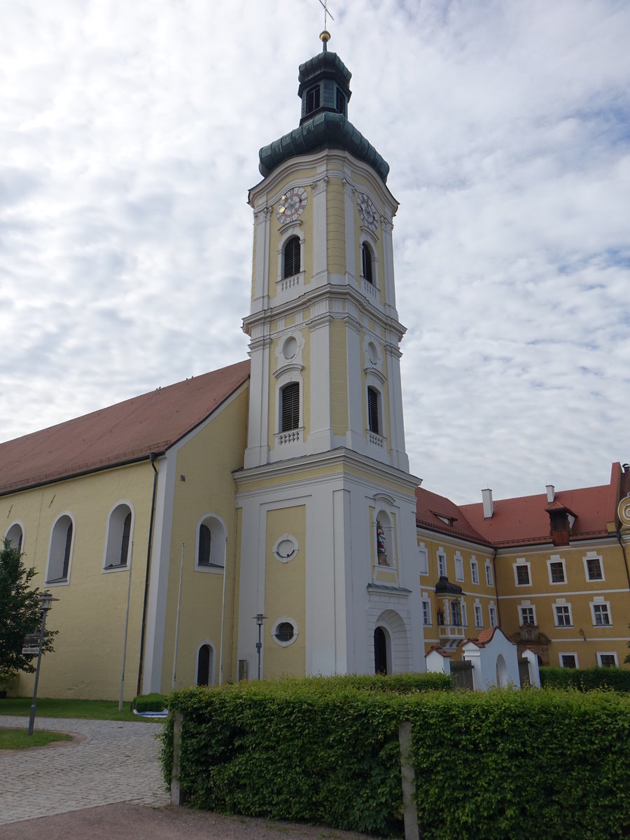 Walderbach, ehem. Zisterzienserabteikirche, heute Pfarrkirche St. Nikolaus und St. Maria, dreischiffige Hallenkirche, erbaut im 12. Jahrhundert, Chor von 1748, Kirchturm erbaut 1779 (05.06.2017)