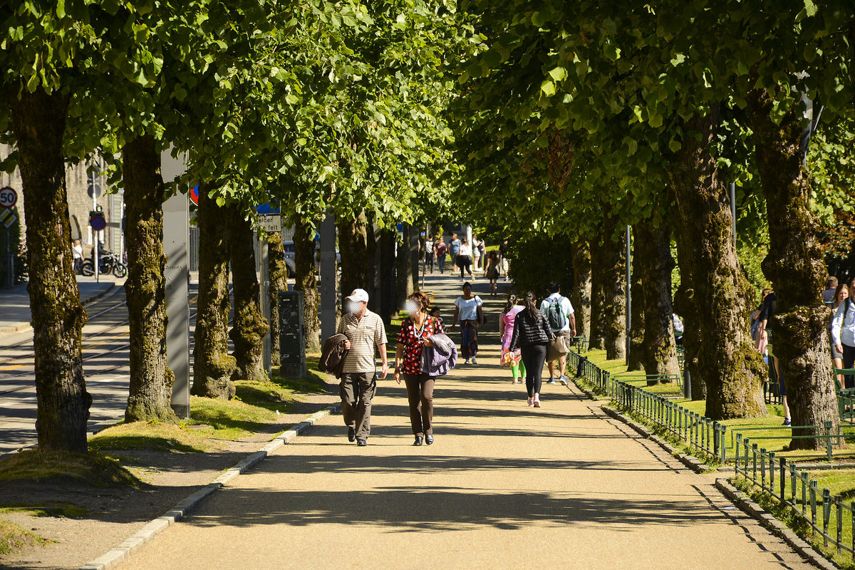 Wanderweg im Stadtpark von Bergen (Byparken) zwischen der Strae Kaigaten und dem See Lille Lungegaardsvann. Aufnahme: 11. Juli 2018.