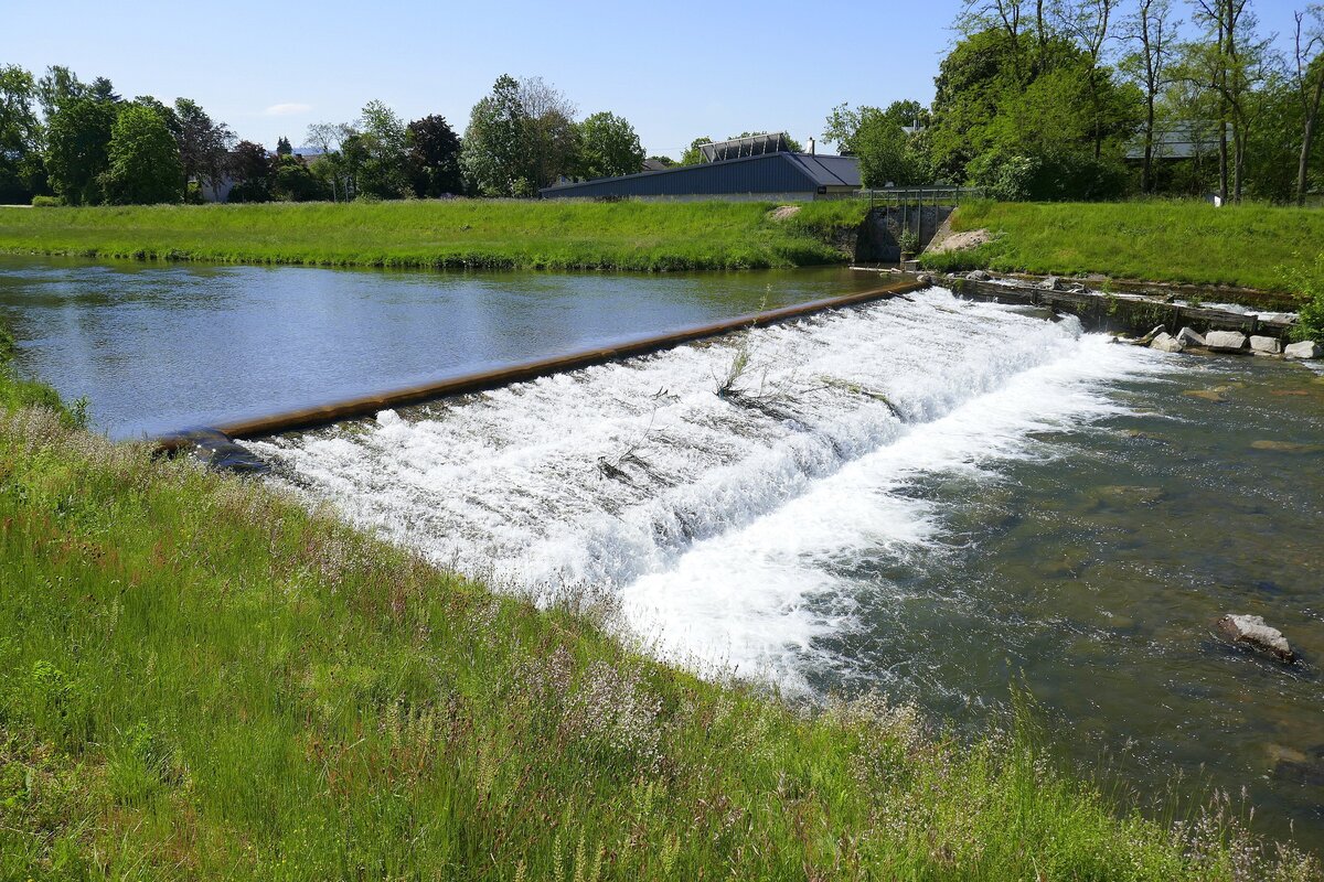 Wasser, Ortsteil von Emmendingen, das Wehr mit Fischtreppe an der Elz, Juni 2021