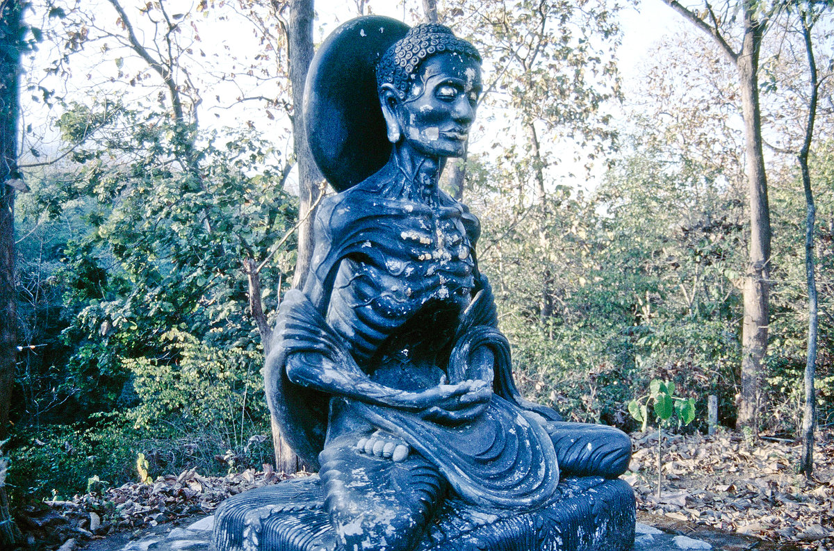Wat U Mong (Fastender Buddha) in Chiang Mai. Bild vom Dia. Aufnahme: Februar 1989.