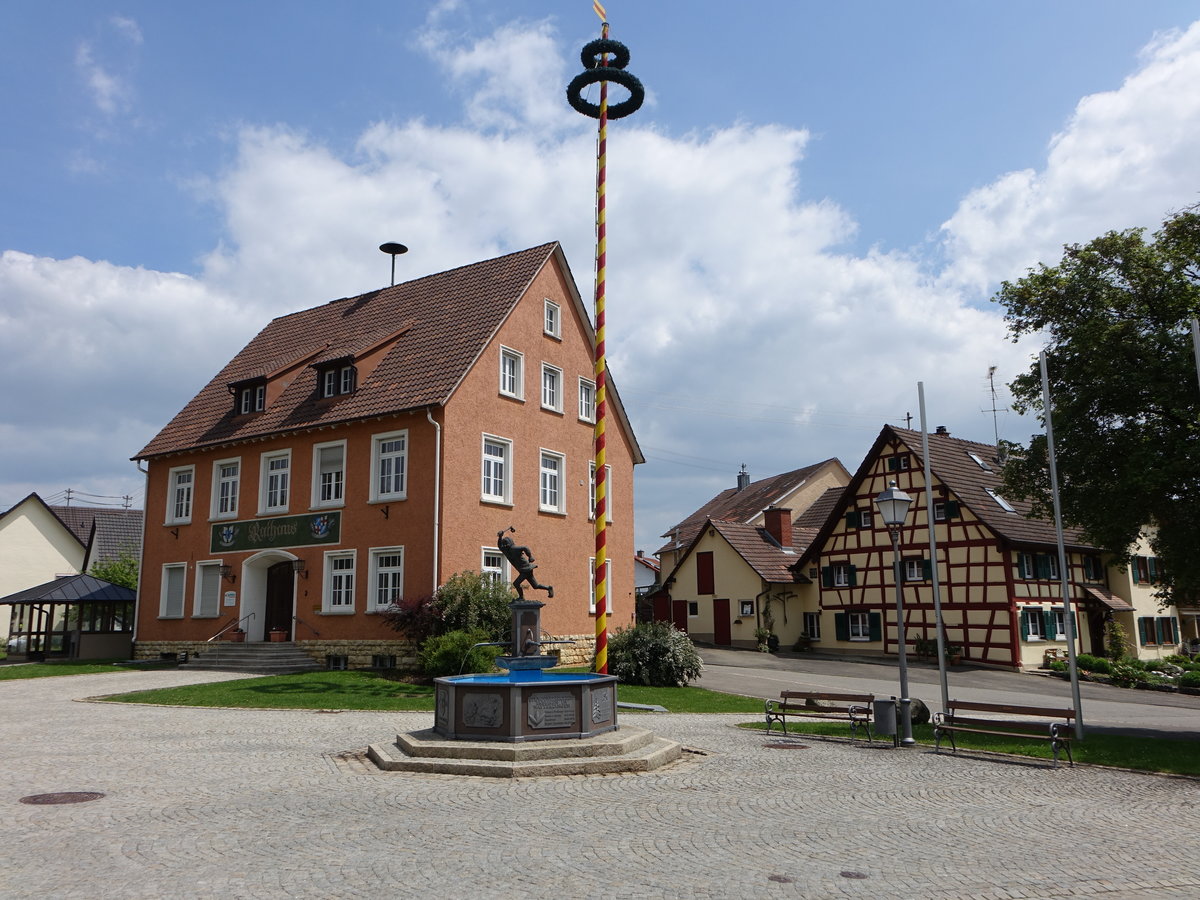 Watterdingen, Narrenbrunnen und Rathaus am Marktplatz (25.05.2017)