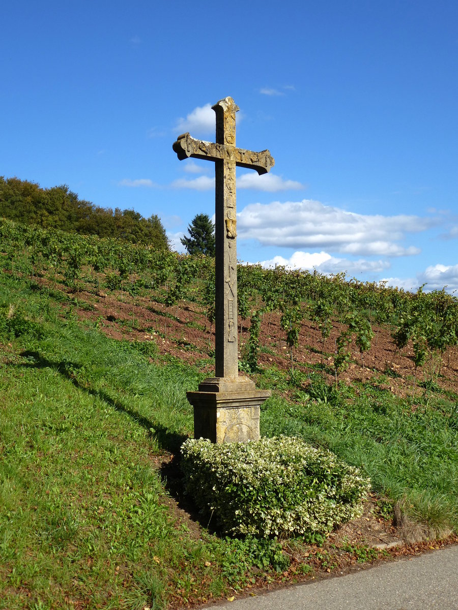 Wegekreuz am Reben bestandenen Sdhang des Schnberges bei Freiburg, Okt.2014