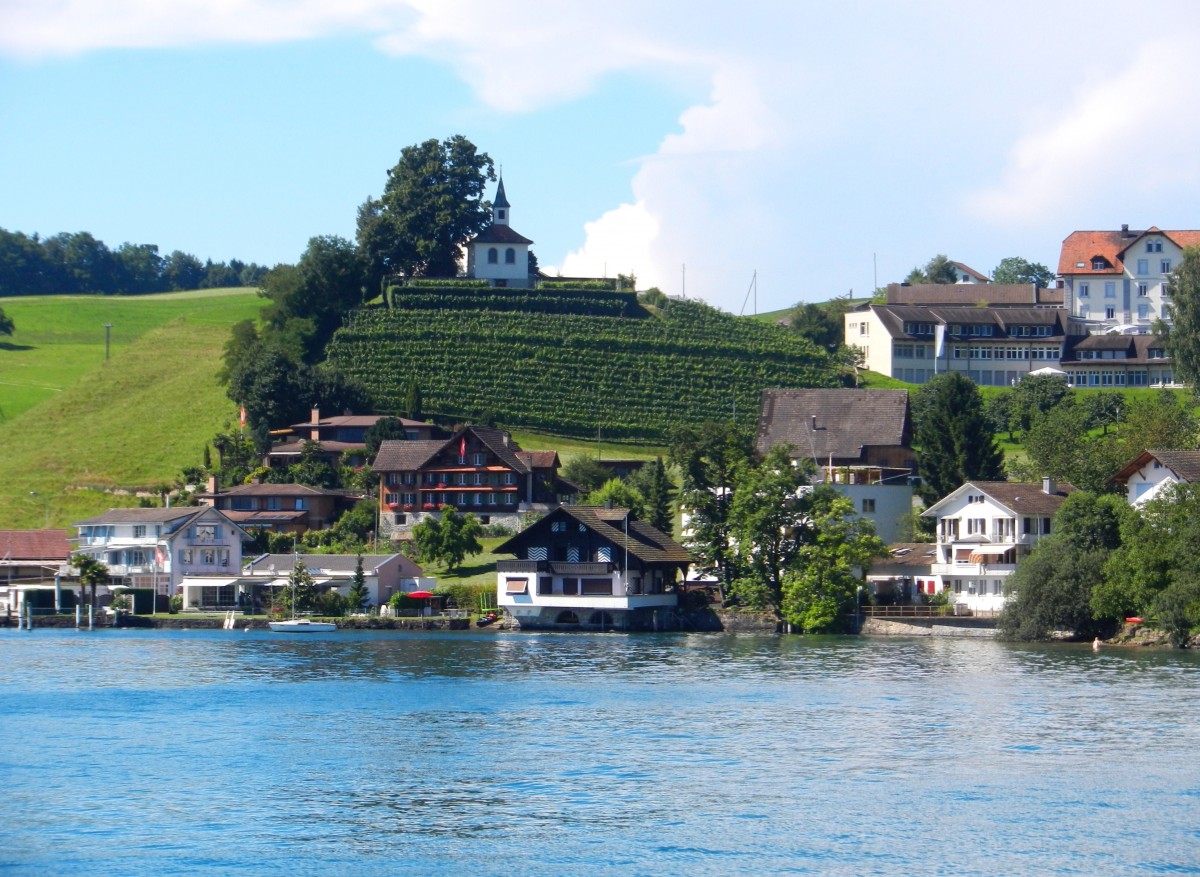 Weggis, Eggisbhler Rebberg mit Hgelkapelle - 17.07.2014