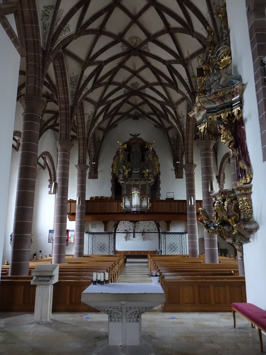Weil der Stadt, Orgelempore von 1730 in der Ev. Stadtkirche St. Peter und Paul (01.05.2018)