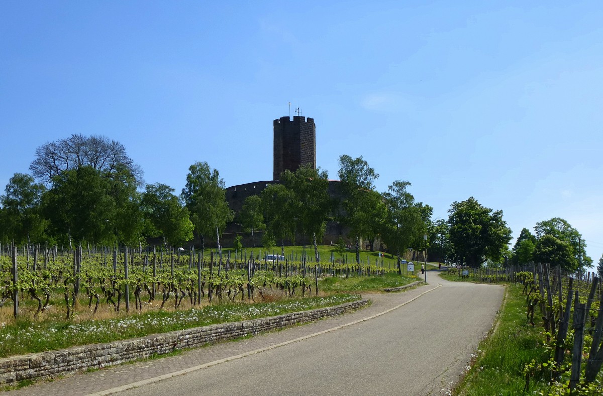 Weiler im Kraichgau, die 333m hoch gelegene und weithin sichtbare Burg Steinsberg wird auch der  Kompass des Kreichgaues  genannt, April 2014