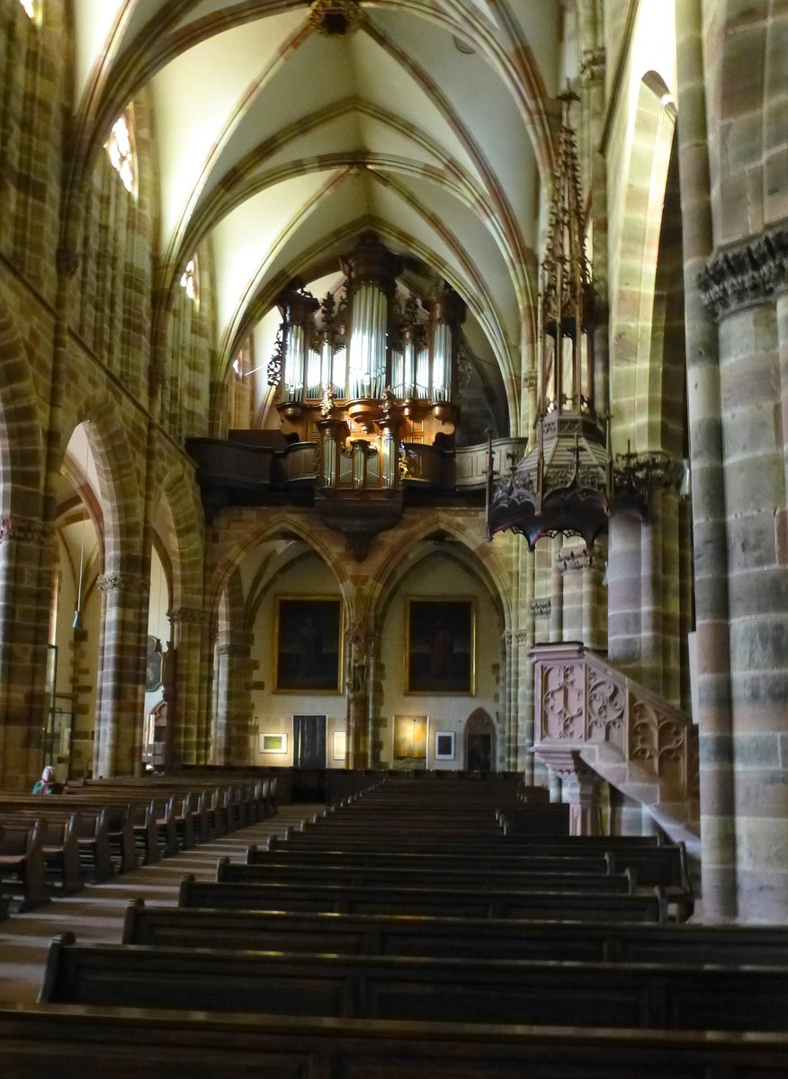 Weienburg (Wissembourg), Blick zur Orgelempore in der Kirche St.Peter und Paul, ist die grte Orgel im Elsa, Sept.2015