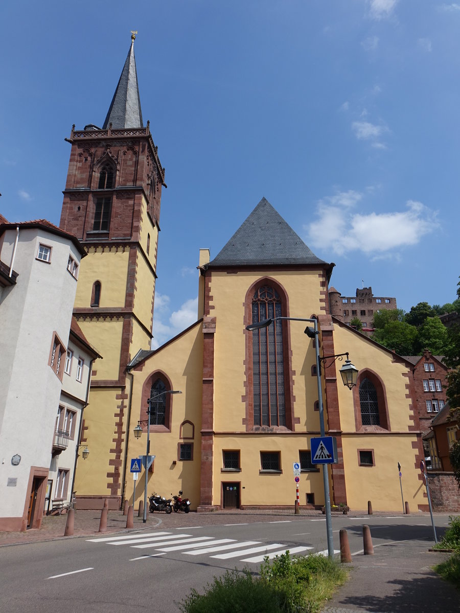 Wertheim, Evangelische Stiftskirche, dreischiffige flach gedeckte Pfeilerbasilika mit polygonalem Chor, Glockenturm in der Flucht der Westfassade, erbaut ab 1383 (12.05.2018)