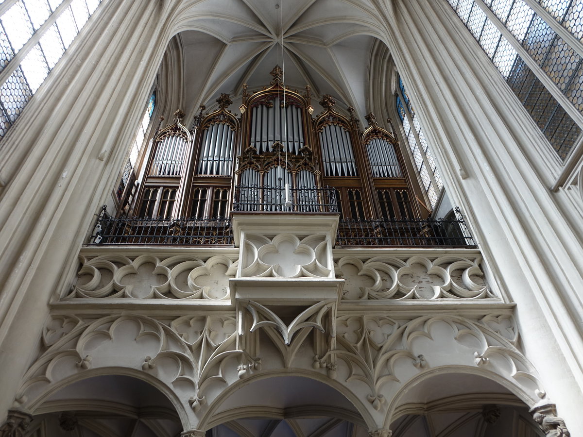Wien, Orgelempore in der Kirche Maria am Gestade, Orgel erbaut 1911 von dem Orgelbauer Matthus Mauracher jun. (20.04.2019)