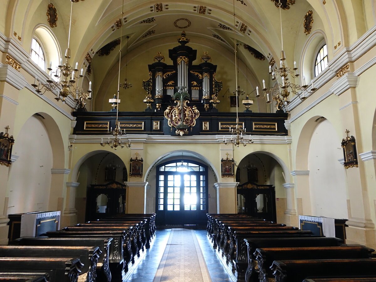 Wieruszow / Weruschau, Orgelempore in der Hl. Geist Kirche (15.09.2021)