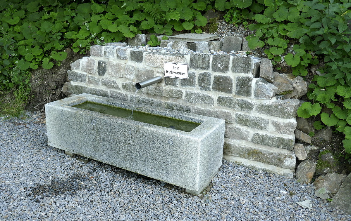 Winden im Elztal/Schwarzwald, unterhalb des Hrnleberggipfels wurde 2016 dieser Brunnen aufggstellt, zur Freude der vielen Pilger, die zur Wallfahrtskirche auf dem 906m Hrnle wandern, Juni 2019