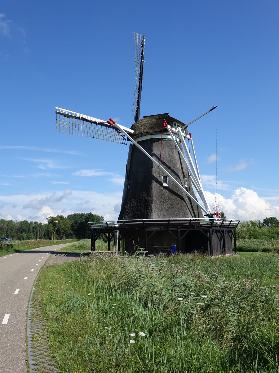 Windesheim, achteckige Windmhle, erbaut 1748 (23.07.2017)