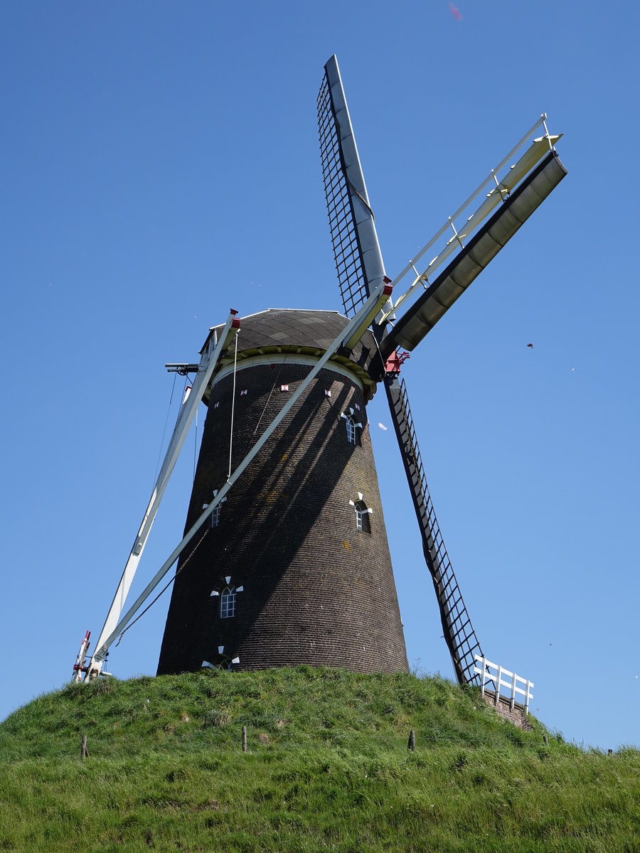 Windmühle in Bredevoort (08.05.2016)