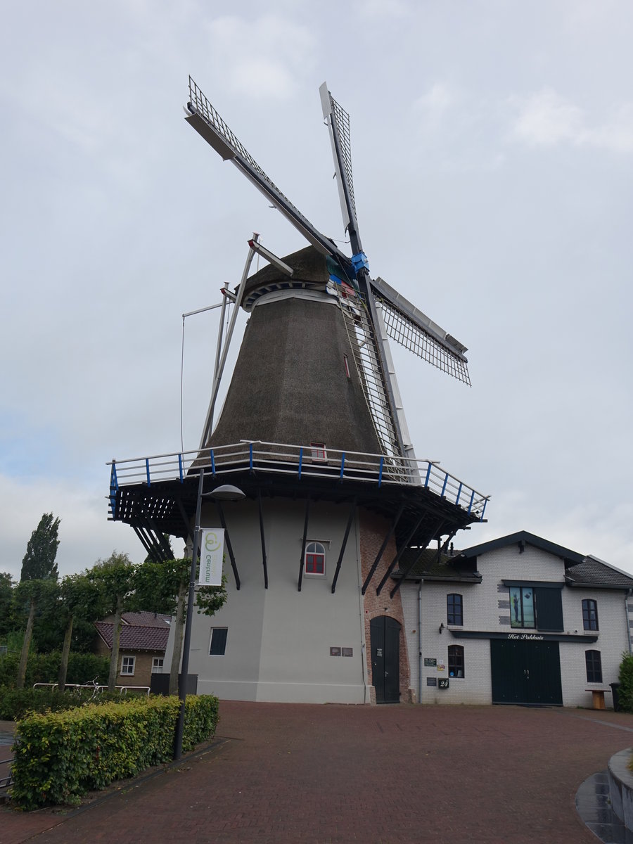 Windmühle De Koe in Ermelo (21.08.2016)