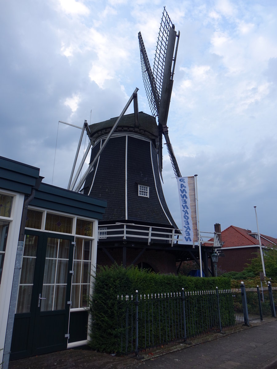 Windmhle de Korenbloem in Haaksbergen, restauriert 1993 mit 24 Meter langen Flgeln (22.07.2017)