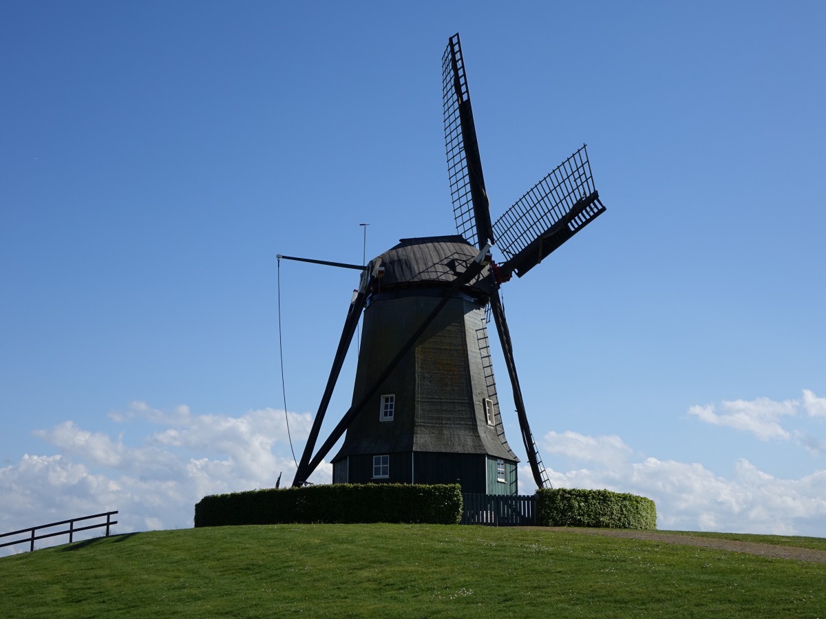 Windmhle De Oude Molen in Kruiningen, Zeeland (30.04.2015)