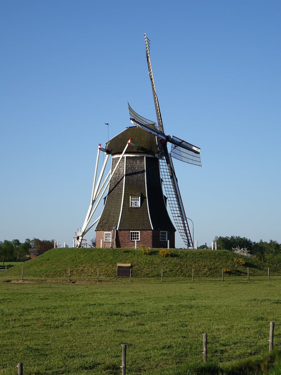 Windmhle in Harreveld (08.05.2016)