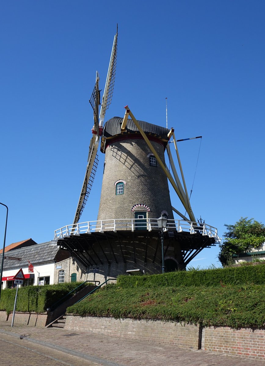 Windmühle in Sommelsdijk (24.08.2016)