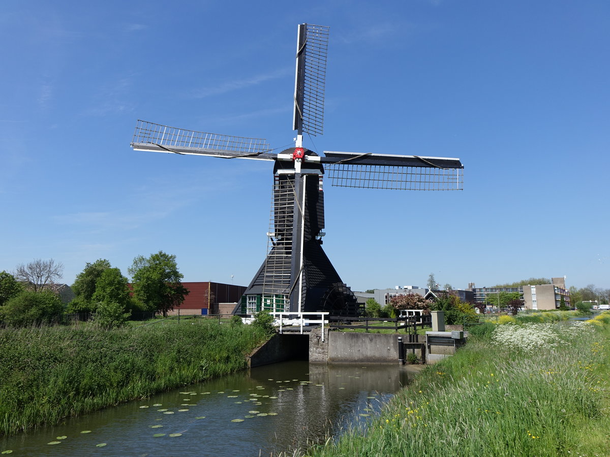 Windmhle Ter Leede in Leerdam (09.05.2016)