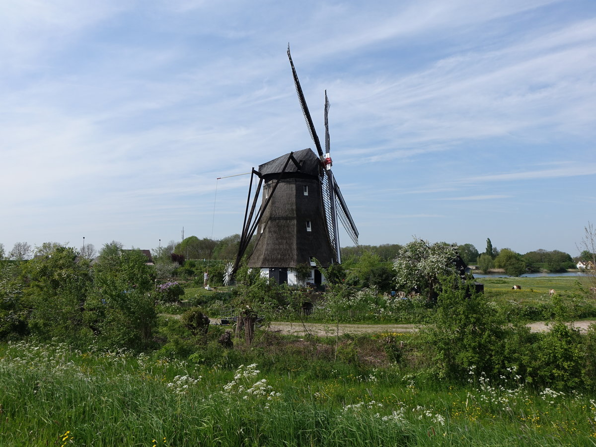 Windmühle von Zuilichem (09.05.2016)