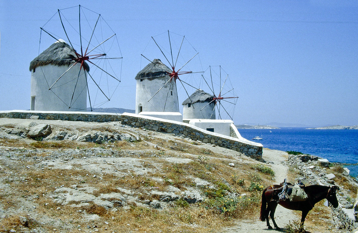 Windmhlen in der Stadt Mykonos. Bild vom Dia. Aufnahme: Juni 1992.