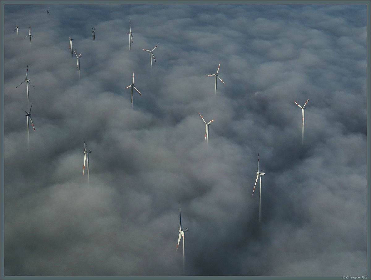 Windrder ragen aus dem Nebelmeer. (bei Schwanebeck, 22.12.2021)