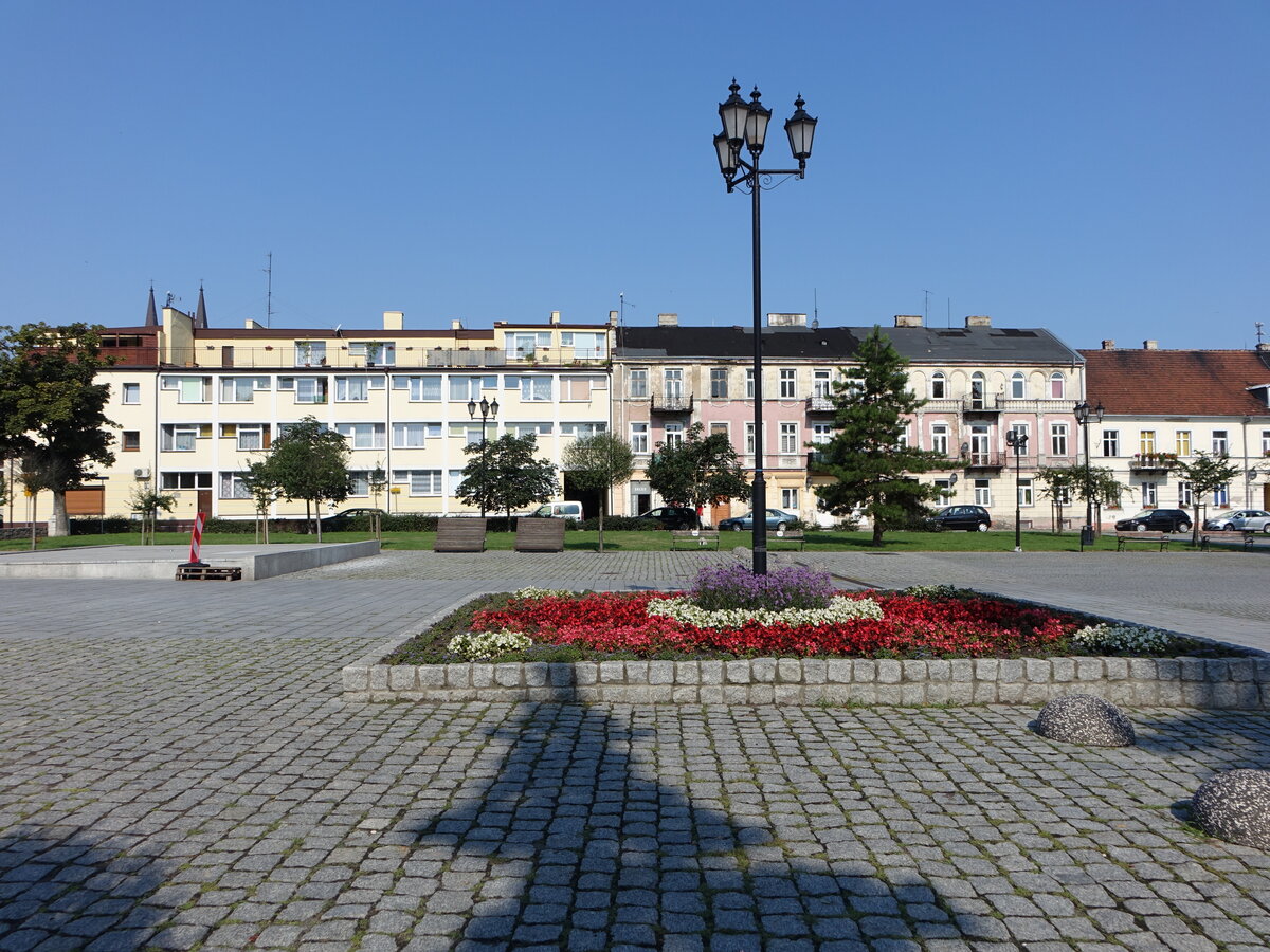 Wlocławek / Leslau, Gebude und Blumenbeete am Stary Rynek Platz (07.08.2021)