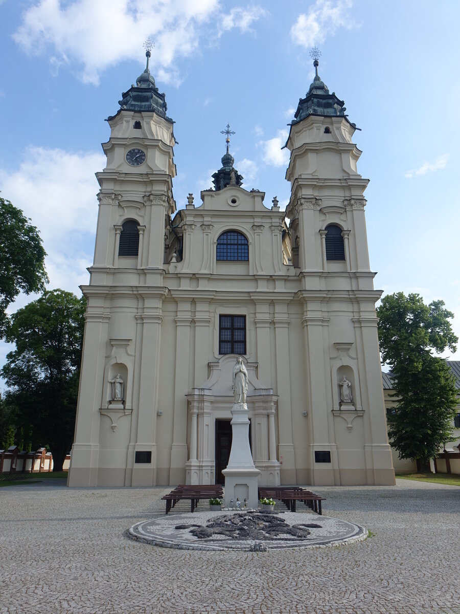 Wlodawa, sptbarocke Pfarrkirche St. Ludwig, erbaut von 1739 bis 1752 (16.06.2021)