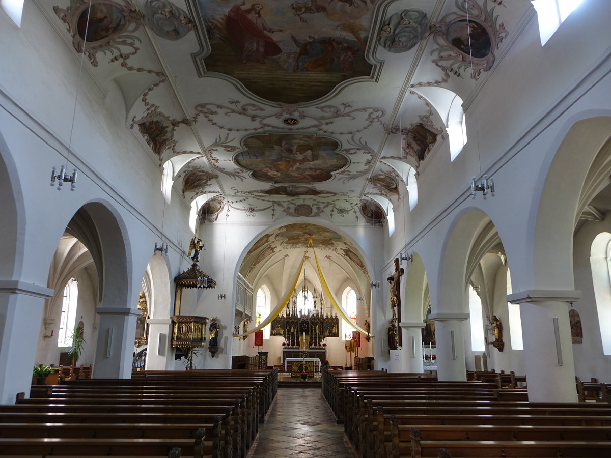 Wrth a. d. Donau, kath. Pfarrkirche St. Peter, Stuck von 1710, Deckenfresken von 1717 gemalt von Valentin Reuschl (02.06.2017)