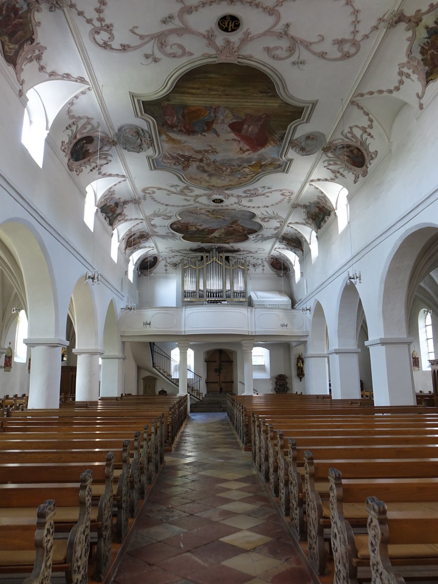 Wrth an der Donau, Orgelempore und Deckengemlde in der Pfarrkirche St. Peter (02.06.2017)