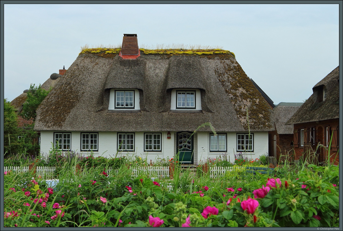 Wohnhaus mit Reetdach auf der Hallig Oland. (29.06.2021)