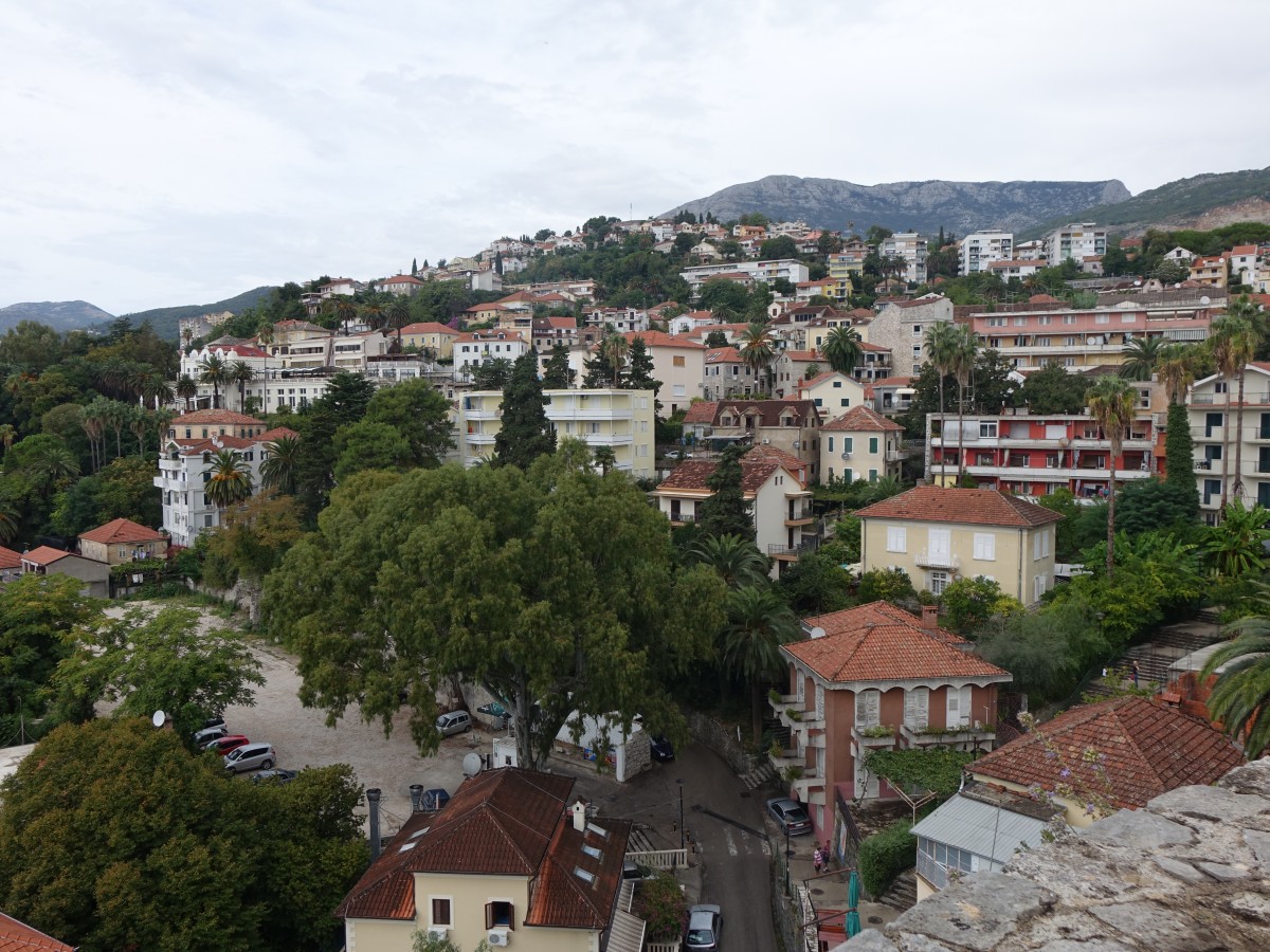 Wohnviertel in Herceg Novi (20.09.2015)