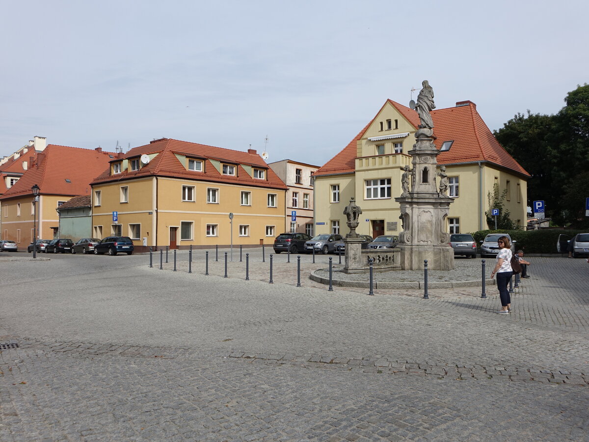 Wolow / Wohlau, Mariensule und Gebude am Plac Piastowski (15.09.2021)