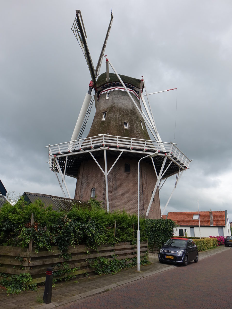 Wolvega, Windmhle Windlust, erbaut im 19. Jahrhundert, heute Heimatmuseum (25.07.2017)