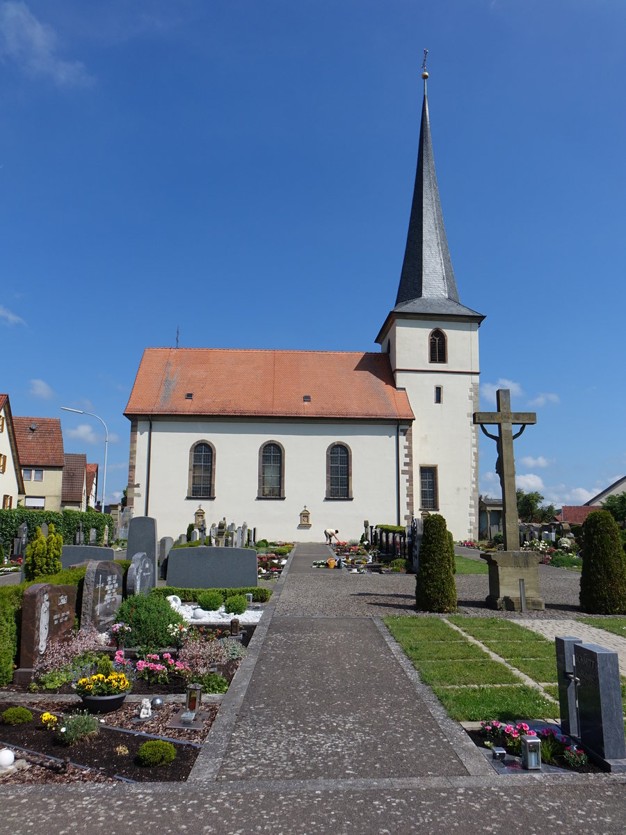 Wlfershausen, Pfarrkirche St. Kilian und Vitus, erbaut ab 1615 durch den Wrzburger Frstbischof Julius Echter von Mespelbrunn (26.05.2018)