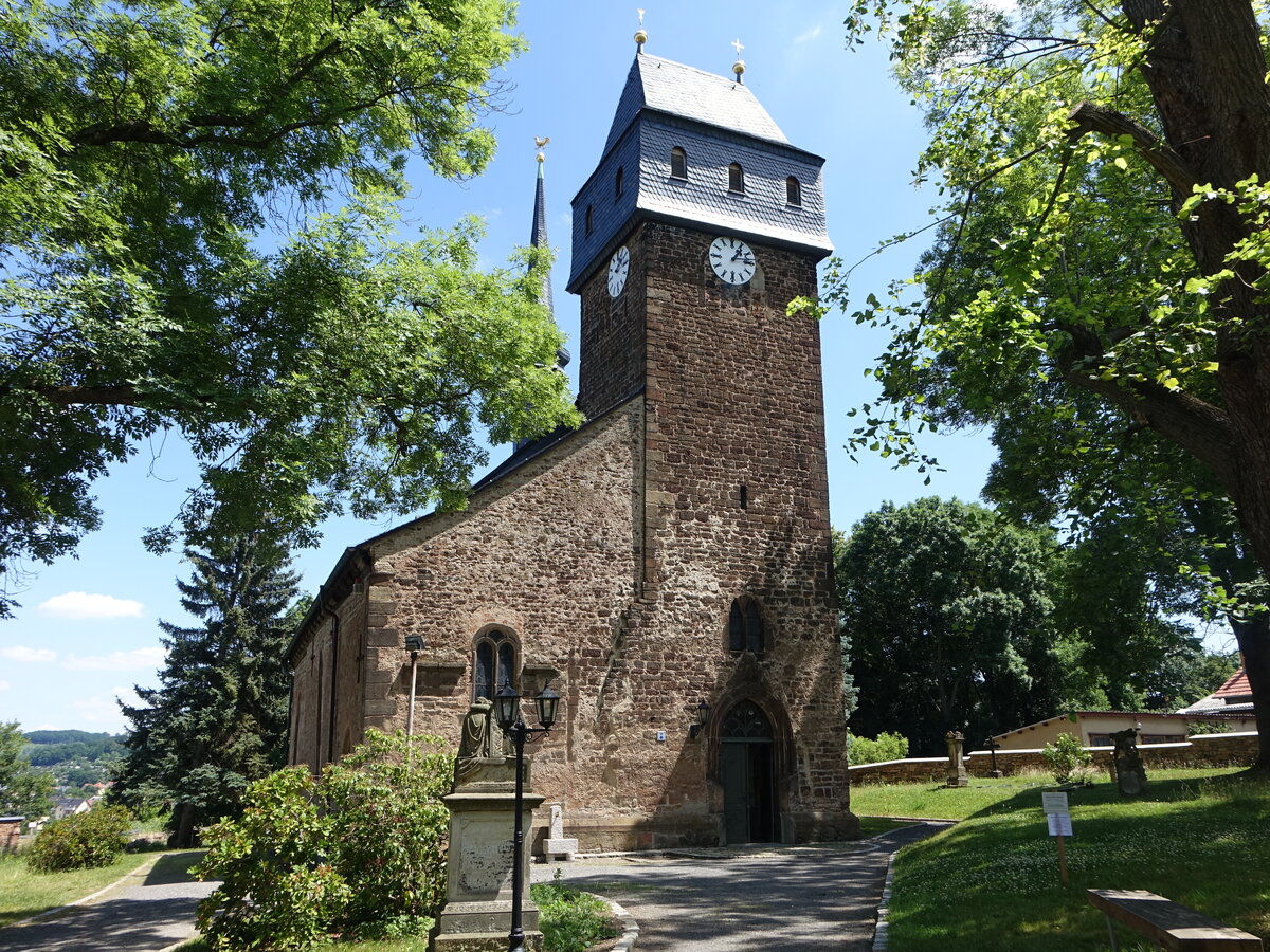 Wnschendorf, evangelische St. Veit Kirche, erbaut um 1170 (25.06.2023)